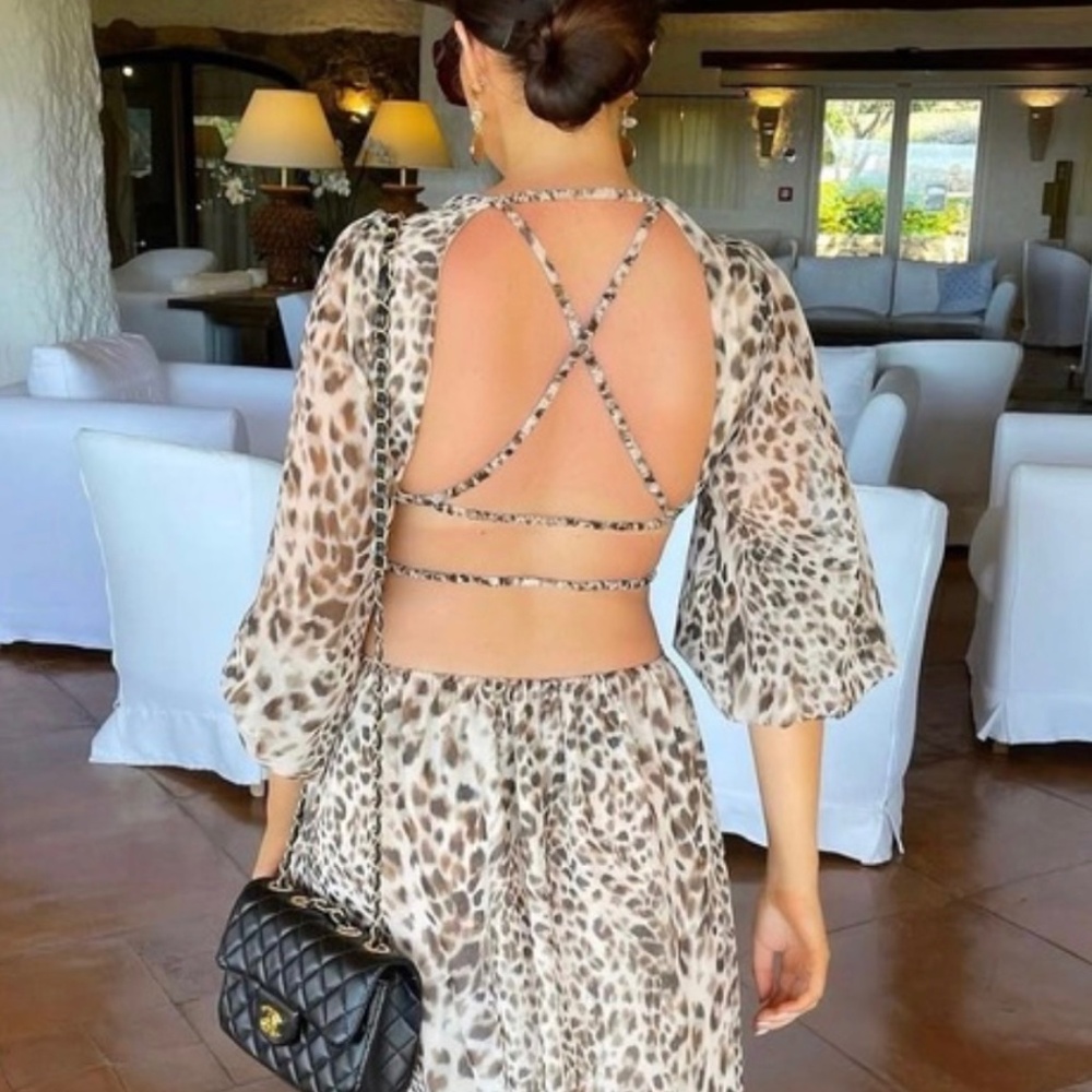 Zara animal print dress